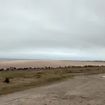 Mawson Retreat Dog Friendly Static Caravan