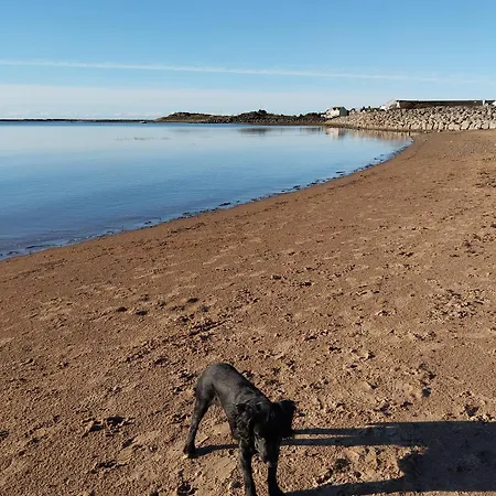 Mawson Retreat Dog Friendly Static Caravan * Millom