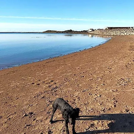 Mawson Retreat Dog Friendly Static Caravan 홀리데이파크